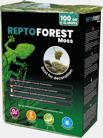 Repto - Forest Moss 100gr