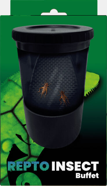 Repto - Insect Buffet