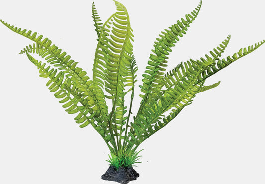 Repto - Plant Standing Fern