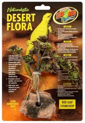 Zoo Med -   Red Leaf Stonecrop 15cm