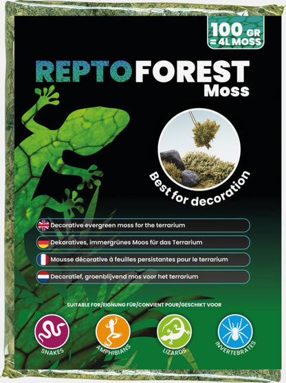 Repto - Forest Moss 100gr