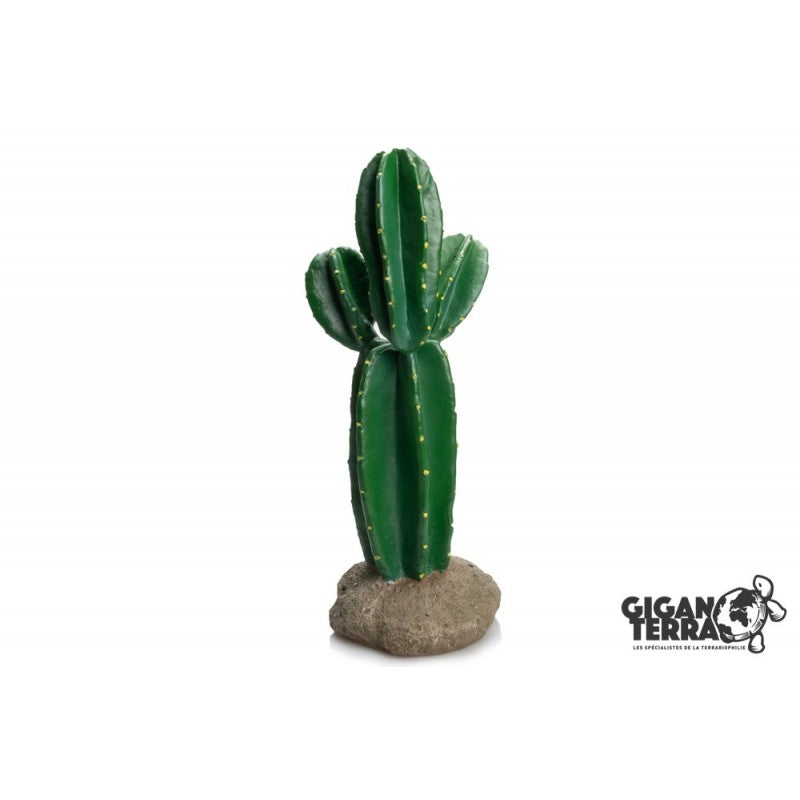 Giganterra - Cactus 15 x 14 x 33cm