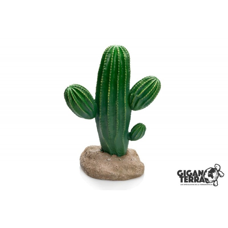 Giganterra - Cactus 17 x 13 x 24.5cm