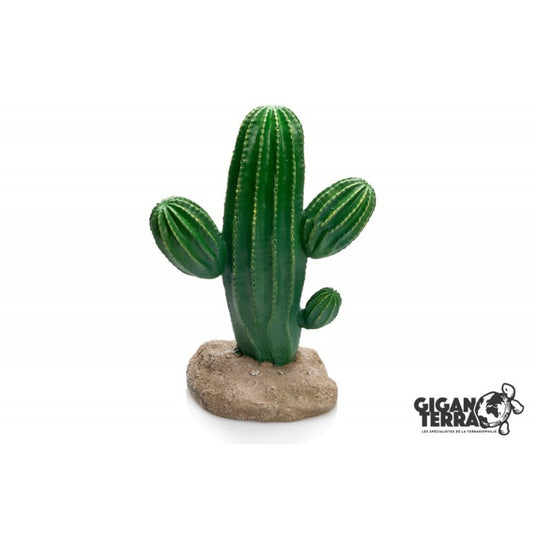 Giganterra - Cactus 17 x 13 x 24.5cm