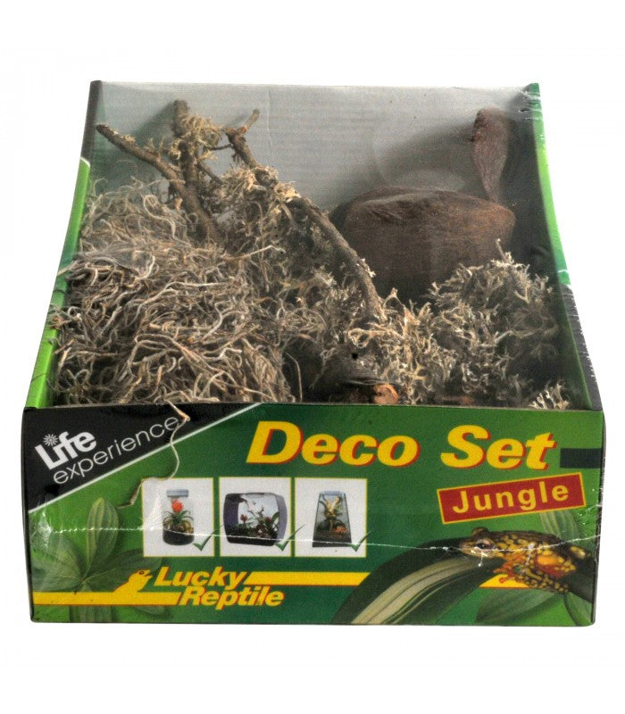 Lucky reptile - Life Experience Deco Set Jungle