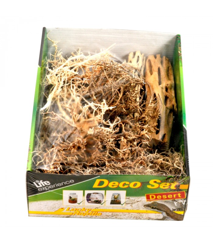 Lucky Reptile - Life Experience Deco Set Desert