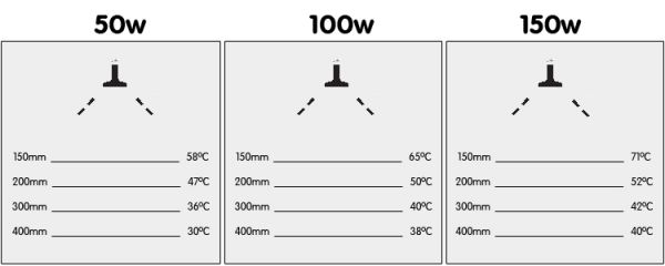 Arcadia - Ceramic heater 50W [E27]